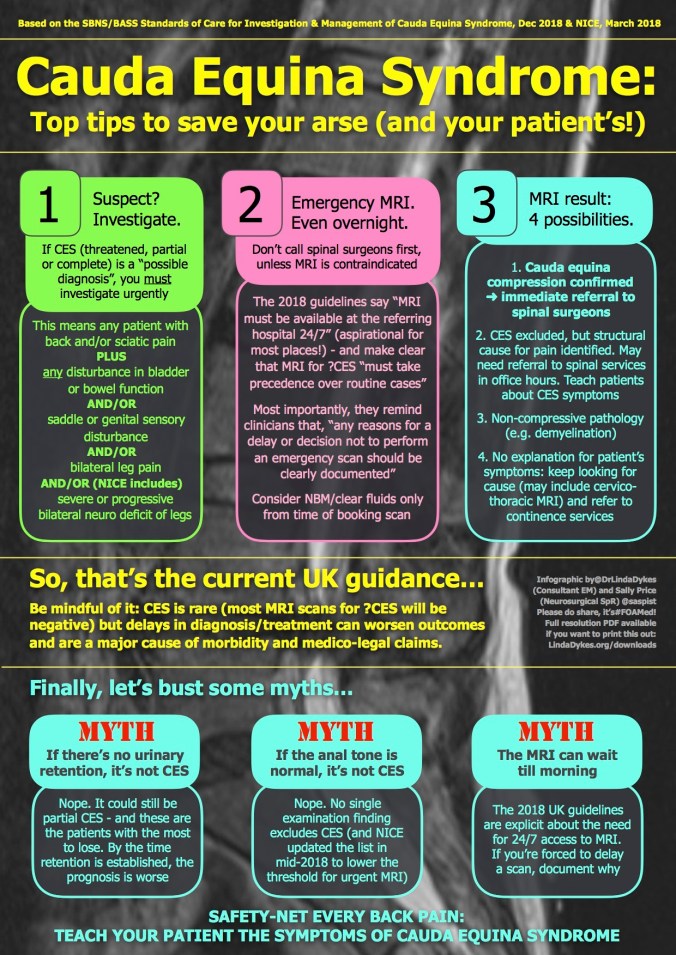 Linda Dykes infographic Cauda Equina
